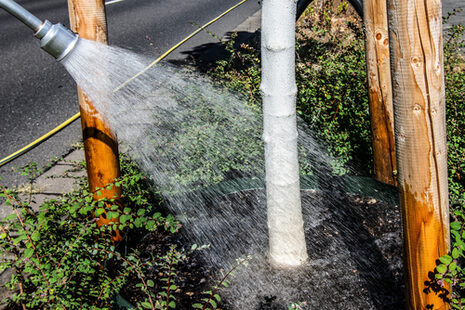 Due to the current drought, many trees in the urban area need to be watered.