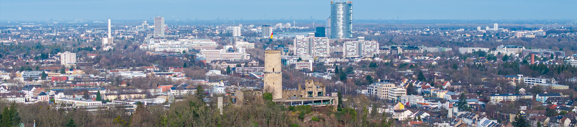 Luftaufnahme : Godesburg und Regierungsviertel