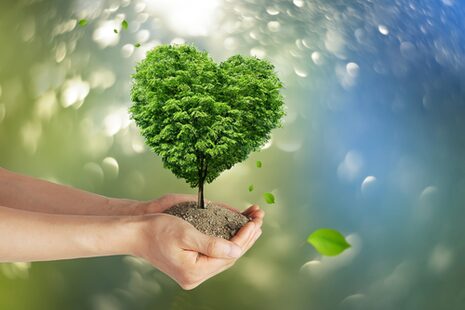 A woman holds a bonsai tree whose crown of leaves is cut into the shape of a heart