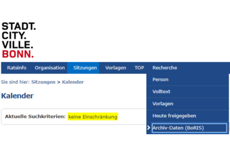 Screenshot des Ratsinformationssystems ALLRIS mit dem Reiter Archiv-Daten BoRIS