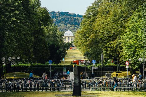 Kaiserplatz'dan Poppelsdorfer Allee üzerinden Poppelsdorf Sarayı'na bakış